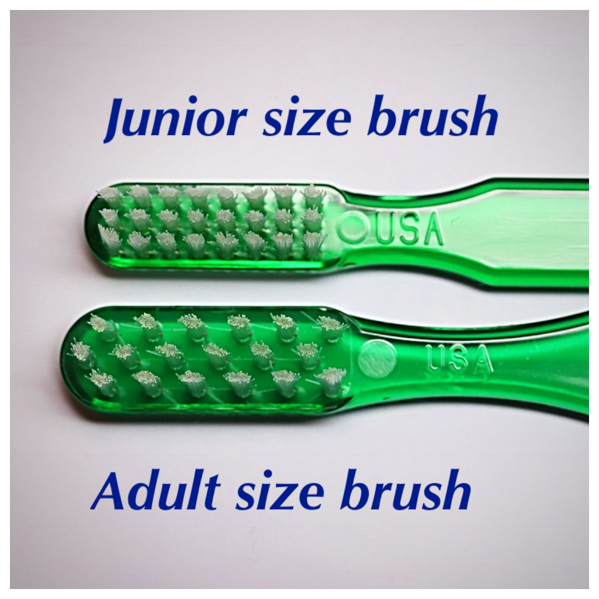 Adult Bass Toothbrush