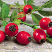 Rosehips