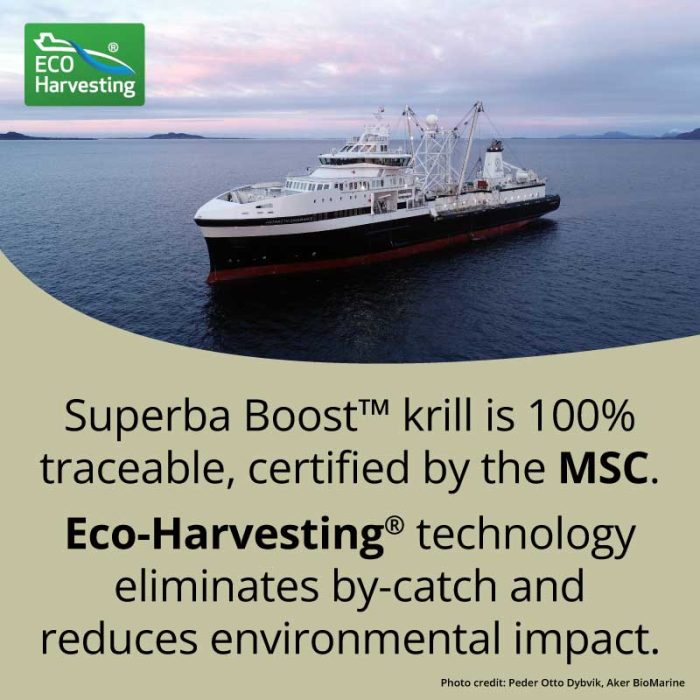 The Krill Miracle 60 softgels