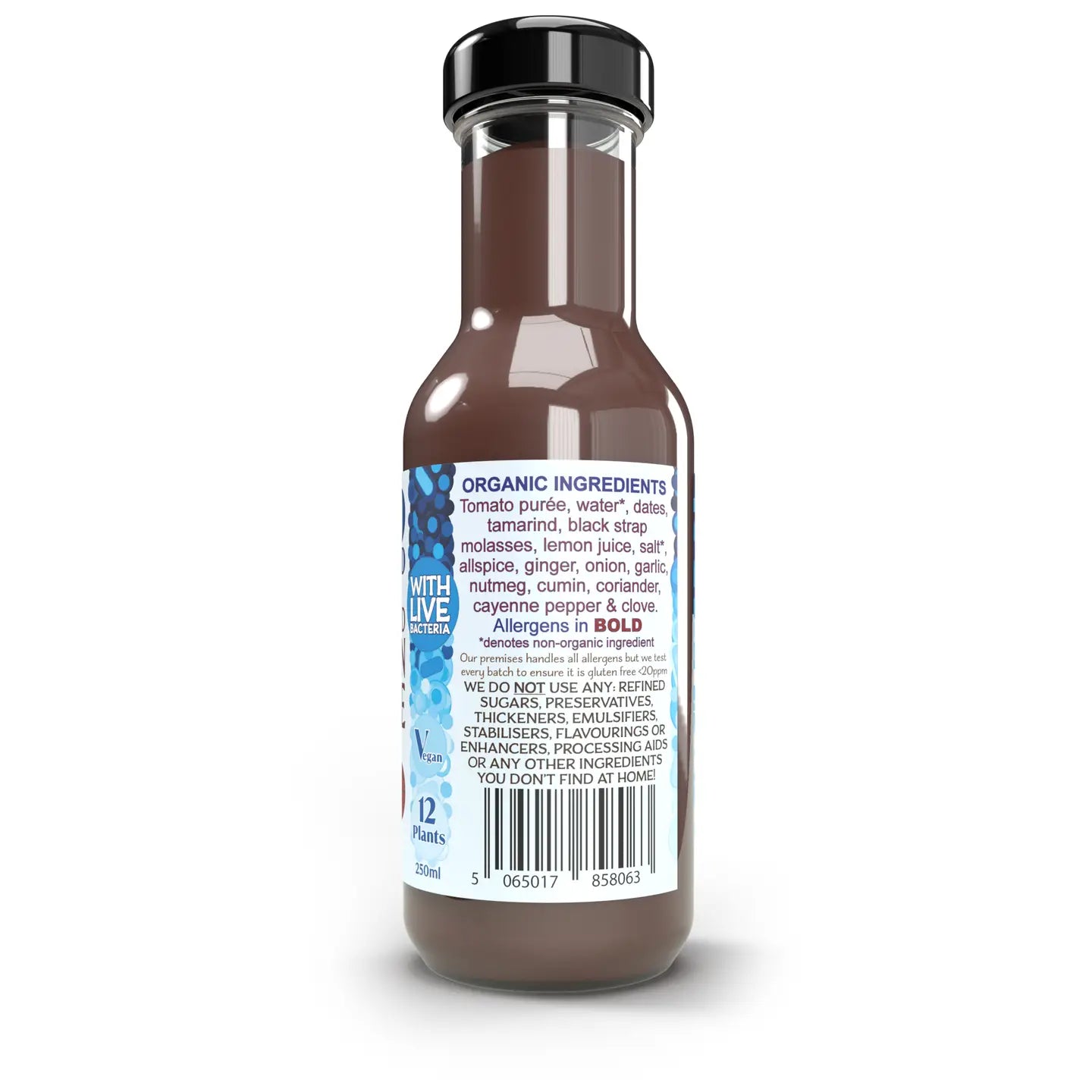 GUNPOWDER PLOT – A Bold Take on Brown Sauce - Live, Fermented & Organic - 250ml
