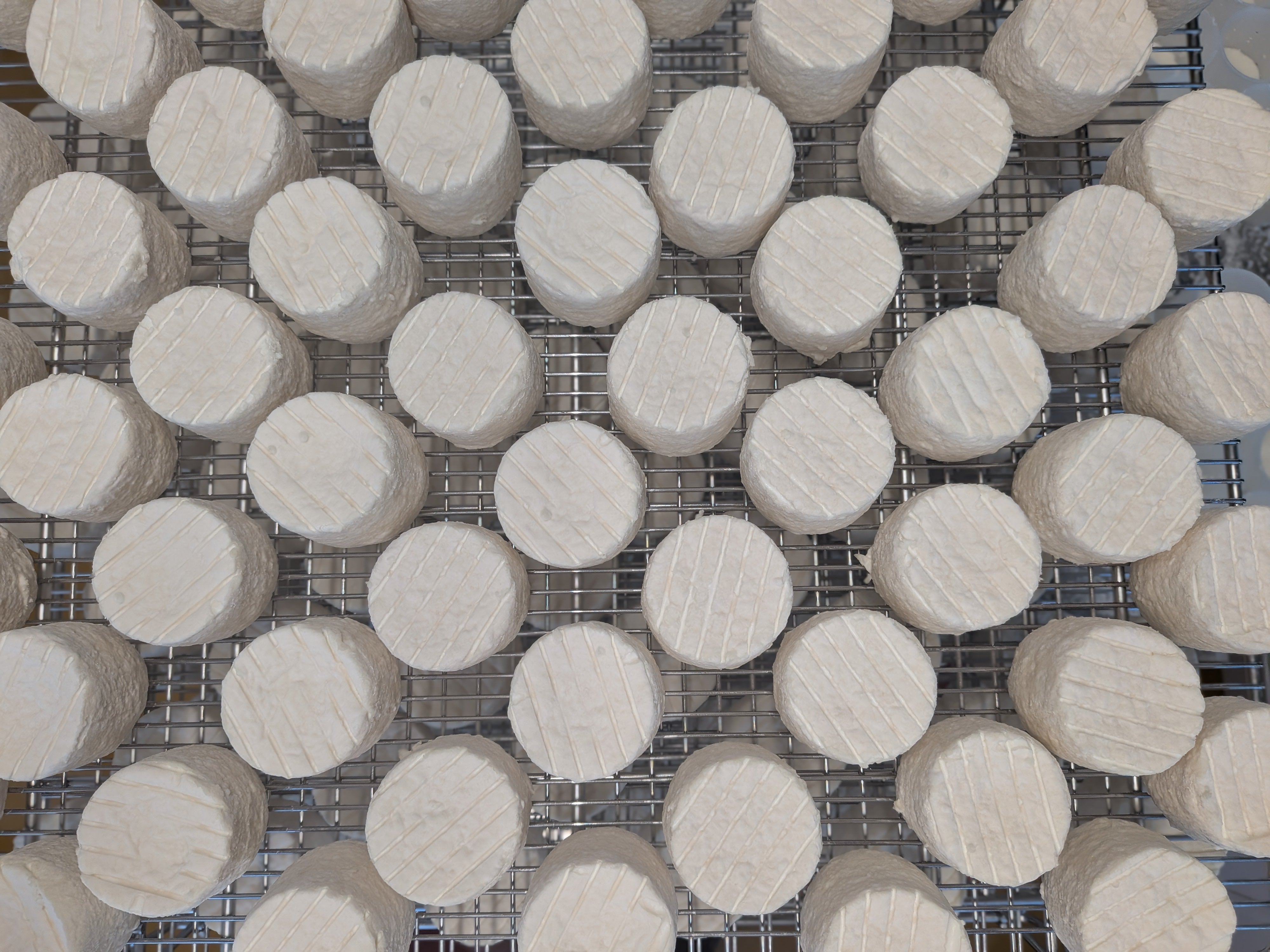 Yr Afe ( The Goat ) - Unsalted, Unpasteurised, Raw Goat's Milk Cheese (100g approx x 6 cheeses)