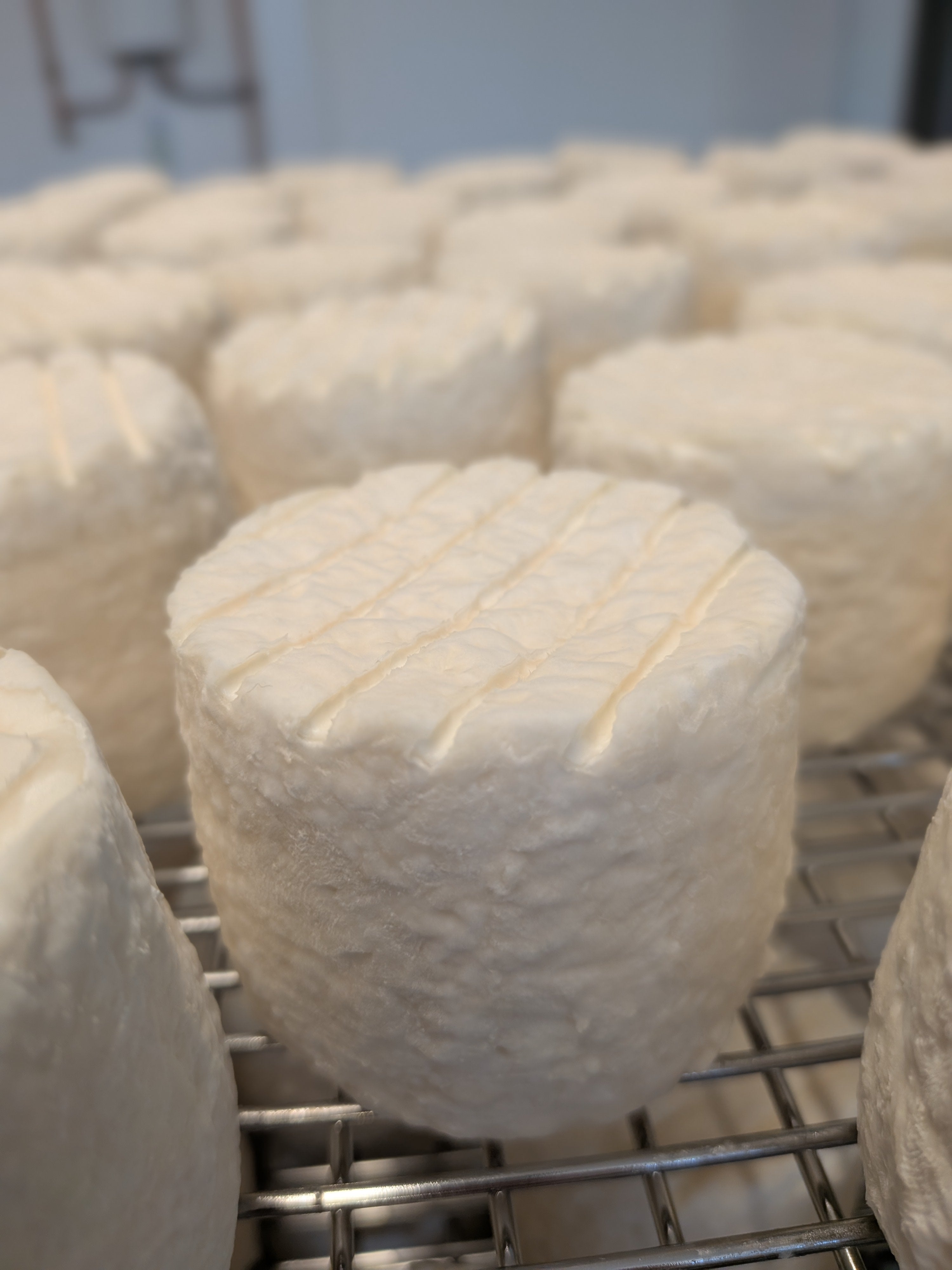 Yr Afe ( The Goat ) - Unsalted, Unpasteurised, Raw Goat's Milk Cheese (100g approx x 6 cheeses)