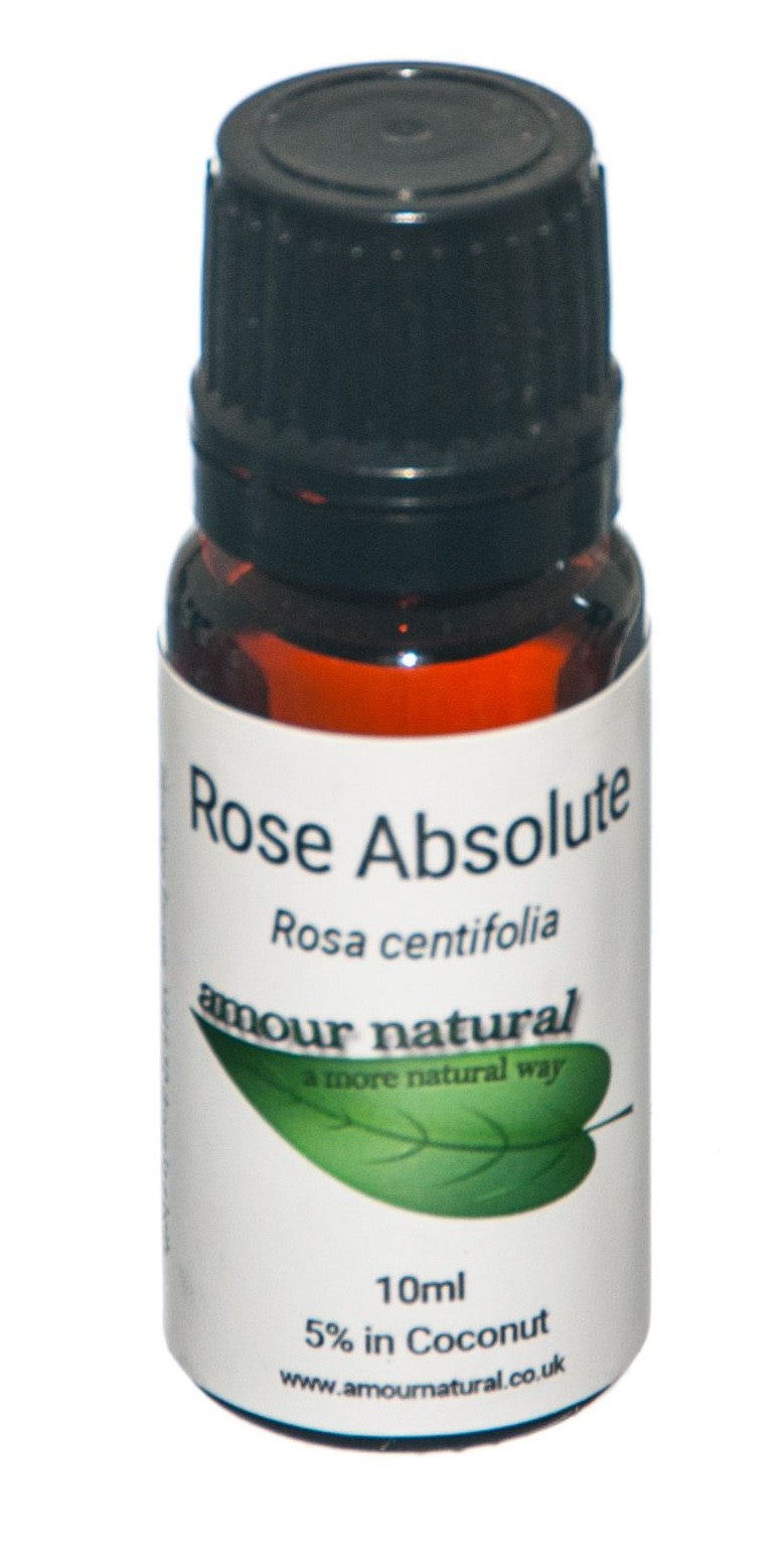 Rose Absolute Essential Oil (5% in coconut oil) 10ml