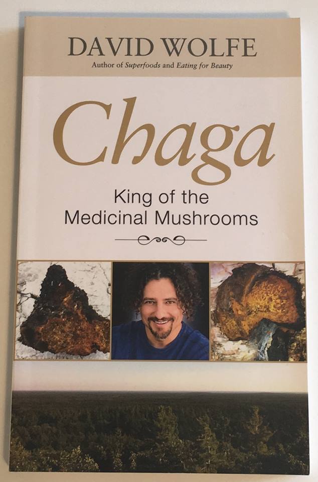 Chaga The King Of Medicinal Mushrooms - David Wolfe