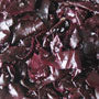 Fresh Organic Dulse Seaweed - 100g