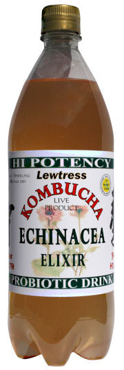 Live Kombucha - Green Tea and Echinacea 1L