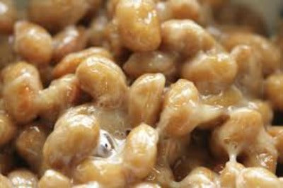 "Live" Natto - frozen  COMING SOON