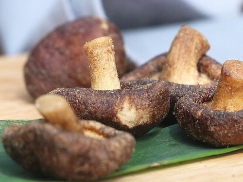 Crunchy Shiitake Mushroom Snack 40g