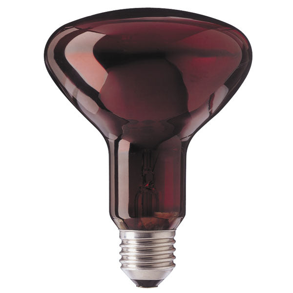 Infrared Light Bulb - Philips Infraphil - E27 - Standard Screw - 100W